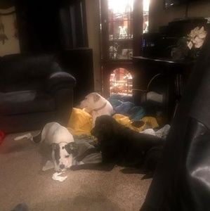 Meet your Posher, Charles